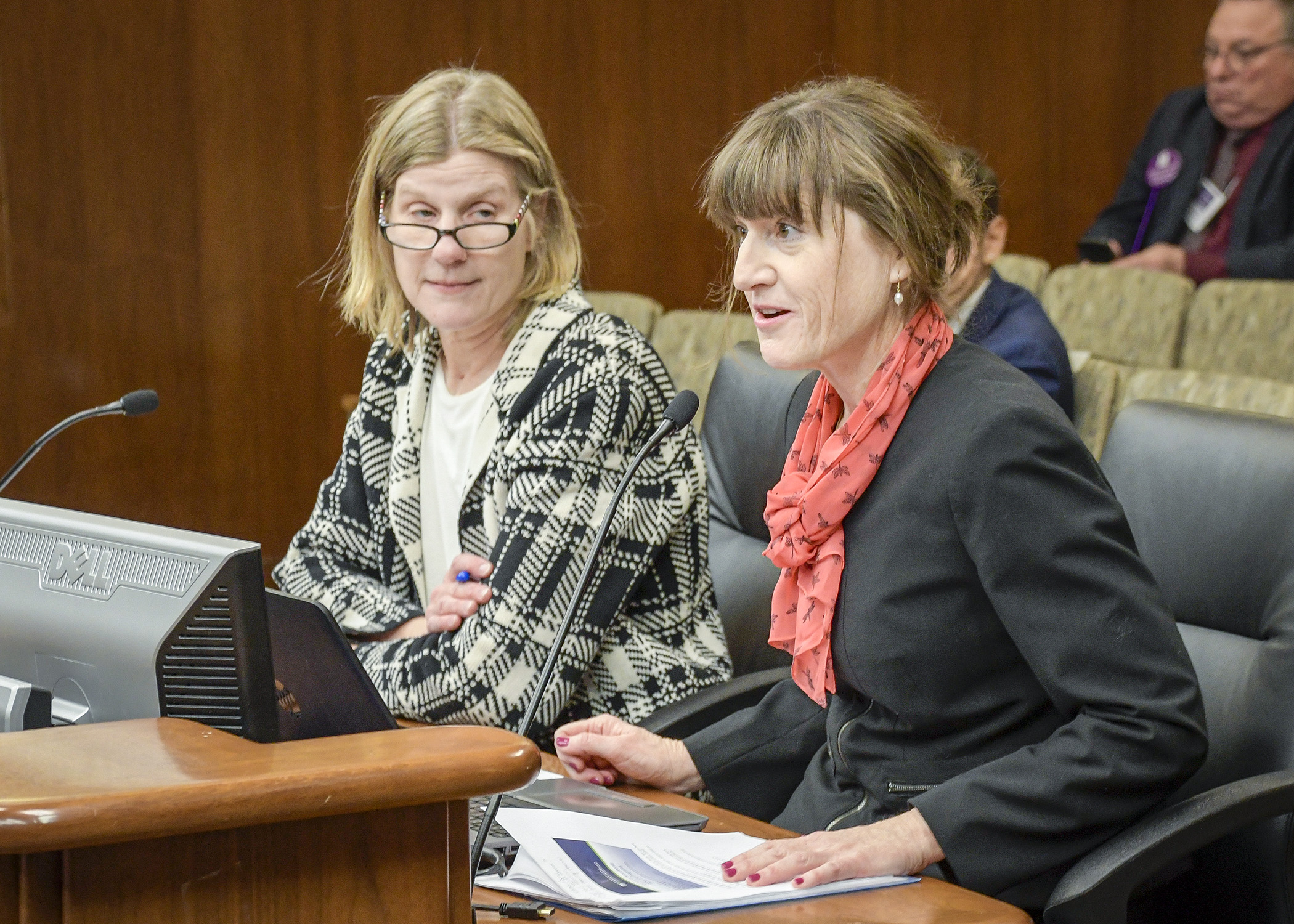 Angie Dickison, right, and Diane Wells, managers with the Office of Broadband, testify before the House Greater Minnesota Jobs and Economic Development Finance Division Feb. 26 in support of a broadband development grant program. Photo by Andrew VonBank